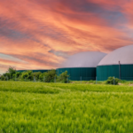 Installing a Commercial Biogas Plant